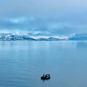 Explore Svalbard - Last Stop before the North Pole for 8 days with Albatros Expeditions and discover unforgettable experiences - Photo 5