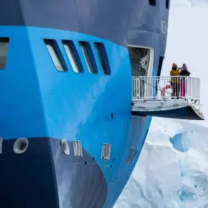 Explore Highlights of the Southern Spring 9D/8N for 9 days with Albatros Expeditions and discover unforgettable experiences - Photo 9