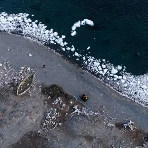 Explore Quest for the Circle for 12 days with Albatros Expeditions and discover unforgettable experiences - Photo 8