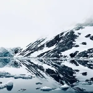 Explore Svalbard - Last Stop before the North Pole for 8 days with Albatros Expeditions and discover unforgettable experiences - Photo 6