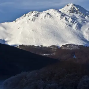 Explore South Shetland Islands and Antarctic Peninsula - Ocean Victory & Ocean Albatros vessels for 10 days with Albatros Expeditions and discover unforgettable experiences - Photo 7