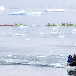 Explore The Ultimate Antarctica Experience- Quest for the Circle, 12 Days for 12 days with Albatros Expeditions and discover unforgettable experiences - Photo 3