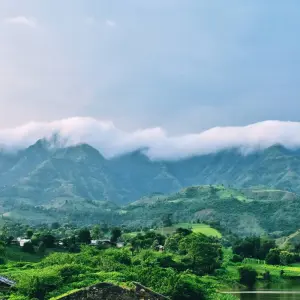 Explore Sanchi Bhimbetka Satpura Safari Tour for 6 days with Alkof Holidays and discover unforgettable experiences - Photo 3