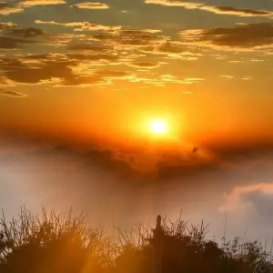 Explore Buddhist Pilgrimage Tour with Northeast India for 18 days with Alkof Holidays and discover unforgettable experiences - Photo 3