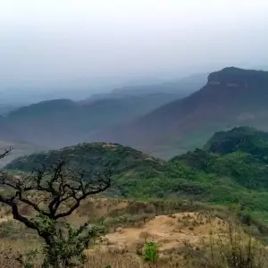 Explore Sanchi Bhimbetka Satpura Safari Tour for 6 days with Alkof Holidays and discover unforgettable experiences - Photo 6