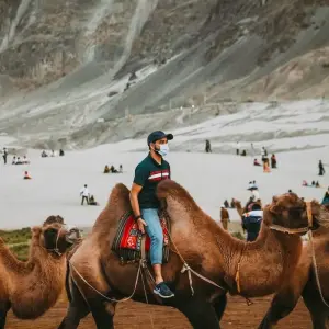 Explore Escorted Kashmir Ladakh Tour Package for 15 days with Alkof Holidays and discover unforgettable experiences - Photo 3