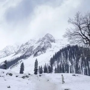 Explore Short Trip to Kashmir for 5 days with Alkof Holidays and discover unforgettable experiences - Photo 4