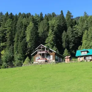 Explore Short Trip to Kashmir for 5 days with Alkof Holidays and discover unforgettable experiences - Photo 7