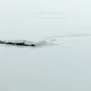 Explore Sri Lanka Wildlife Photography Tour for 9 days with Alkof Holidays and discover unforgettable experiences - Photo 3