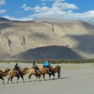 Explore Leh Ladakh Tour for 7 days with Alkof Holidays and discover unforgettable experiences - Photo 5