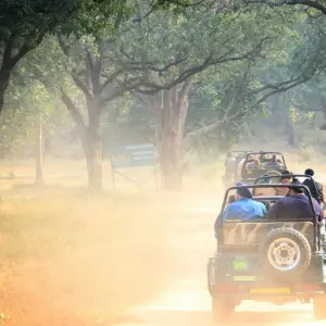 Explore Golden Triangle Tour With Asiatic Lions and Bengal Tiger Safari for 13 days with Alkof Holidays and discover unforgettable experiences - Photo 4