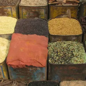 Explore Mumbai Jaipur Agra Culinary Tour for 9 days with Alkof Holidays and discover unforgettable experiences - Photo 10