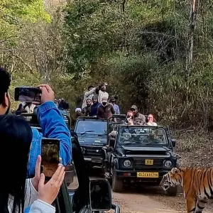 Explore Golden Triangle Tour with Tiger Safari for 14 days with Alkof Holidays and discover unforgettable experiences - Photo 11