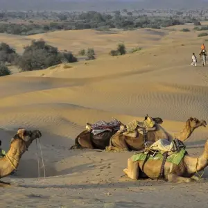 Explore Rajasthan Complete Tour with Taj Mahal for 16 days with Alkof Holidays and discover unforgettable experiences - Photo 9
