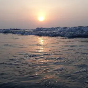 Explore Golden Triangle Tour with Goa for 10 days with Alkof Holidays and discover unforgettable experiences - Photo 2