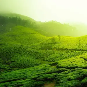 Explore North India Tour With South India for 12 days with Alkof Holidays and discover unforgettable experiences - Photo 5