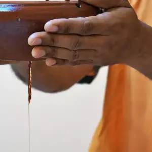 Explore Rejuvenating Kerala Ayurveda Tour for 6 days with Alkof Holidays and discover unforgettable experiences - Photo 6