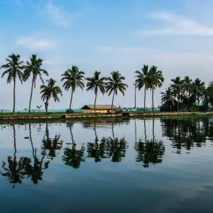 Explore Kerala Tour Package with Taj Mahal for 9 days with Alkof Holidays and discover unforgettable experiences - Photo 10
