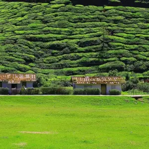 Explore Kerala Tour Package with Taj Mahal for 9 days with Alkof Holidays and discover unforgettable experiences - Photo 11