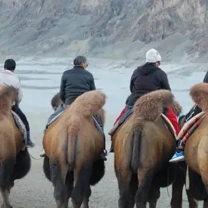 Explore Leh Ladakh Tour Package from Delhi for 7 days with Alkof Holidays and discover unforgettable experiences - Photo 8