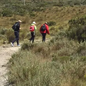 Explore Mt Kenya day Hike for 1 days with All Time Safaris Ltd and discover unforgettable experiences - Photo 3