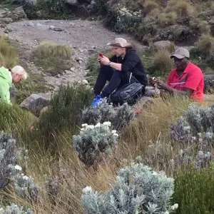 Explore Mt Kenya day Hike for 1 days with All Time Safaris Ltd and discover unforgettable experiences - Photo 4