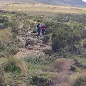 Explore Mt Kenya day Hike for 1 days with All Time Safaris Ltd and discover unforgettable experiences - Photo 6