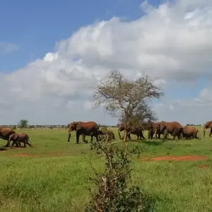 Explore 5 Days  Photo Safari for 5 days with All Time Safaris Ltd and discover unforgettable experiences - Photo 10