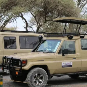 Explore 4 Days Exhilarating Tanzania Safari for 4 days with All Weather Adventures and discover unforgettable experiences - Photo 4