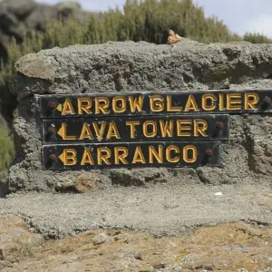 Explore Climb Kilimanjaro : 7 Days Rongai Route for 8 days with All Weather Adventures and discover unforgettable experiences - Photo 5