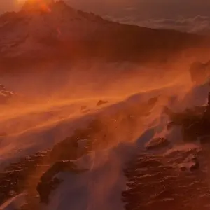 Explore Climb Kilimanjaro : 9 Days Lemosho Route for 9 days with All Weather Adventures and discover unforgettable experiences - Photo 6