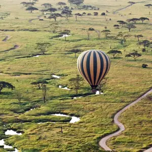 Explore 4 Days Exhilarating Tanzania Safari for 4 days with All Weather Adventures and discover unforgettable experiences - Photo 6