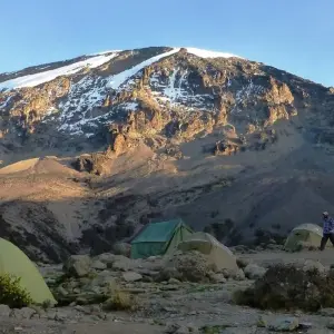 Explore Climb Kilimanjaro : 9 Days Lemosho Route for 9 days with All Weather Adventures and discover unforgettable experiences - Photo 10