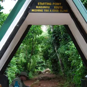 Explore Kilimanjaro Day Tour to Mandara Hut. for 1 days with All Weather Adventures and discover unforgettable experiences - Photo 6