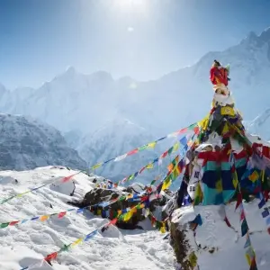 Explore Annapurna Base Camp Trek for 8 days with AlpWander Adventures Pvt. Ltd. and discover unforgettable experiences - Photo 3