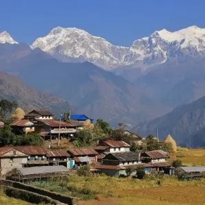 Explore Manaslu Tsum Valley Trek for 18 days with AlpWander Adventures Pvt. Ltd. and discover unforgettable experiences - Photo 4