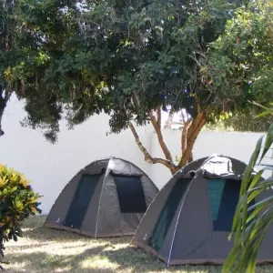 Explore 7 Days Private camping Kenya Safari for 7 days with All Time Safaris Ltd and discover unforgettable experiences - Photo 11