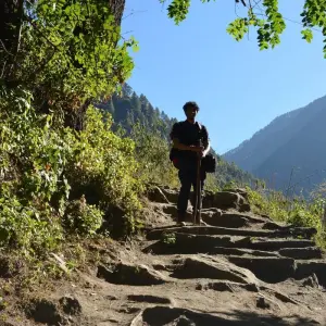 Explore Gosaikunda Trek for 5 days with AlpWander Adventures Pvt. Ltd. and discover unforgettable experiences - Photo 5