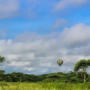 Explore 5 Days Serengeti Flying Safari for 5 days with Almighty Kilimanjaro and discover unforgettable experiences - Photo 2