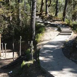 Explore Gosaikunda Trek for 5 days with AlpWander Adventures Pvt. Ltd. and discover unforgettable experiences - Photo 6