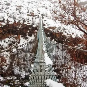 Explore Langtang Gosaikunda Trek for 12 days with AlpWander Adventures Pvt. Ltd. and discover unforgettable experiences - Photo 3