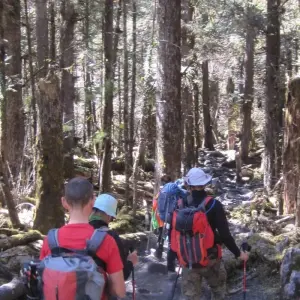 Explore Annapurna Base Camp Trek for 8 days with AlpWander Adventures Pvt. Ltd. and discover unforgettable experiences - Photo 7