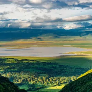 Explore 2 Day Tanzania Safari for 2 days with Almighty Kilimanjaro and discover unforgettable experiences - Photo 4