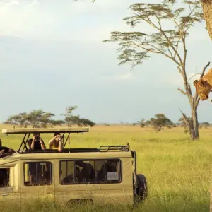 Explore Tanzania Big 5 Safari for 5 days with Almighty Kilimanjaro and discover unforgettable experiences - Photo 6