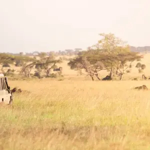 Explore 4 Days Best of Tanzania Safari for 4 days with Almighty Kilimanjaro and discover unforgettable experiences - Photo 5