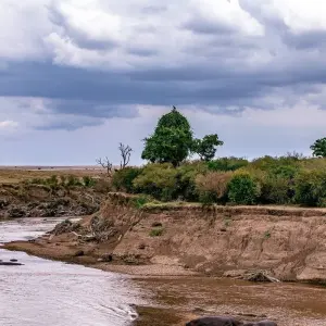 Explore 6 Days Migration Safari for 6 days with Almighty Kilimanjaro and discover unforgettable experiences - Photo 4
