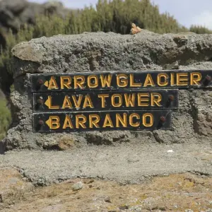 Explore 10 Days Northern Circuit Crater Route for 10 days with Almighty Kilimanjaro and discover unforgettable experiences - Photo 4