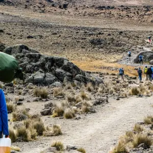 Explore 10 Days Northern Circuit Crater Route for 10 days with Almighty Kilimanjaro and discover unforgettable experiences - Photo 5