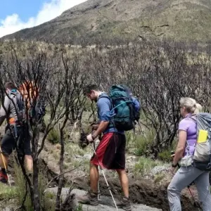 Explore Mount meru trekking 3 days for 3 days with Almighty Kilimanjaro and discover unforgettable experiences - Photo 4