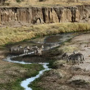 Explore 7 Days Serengeti Big 5 Safari for 7 days with Almighty Kilimanjaro and discover unforgettable experiences - Photo 7